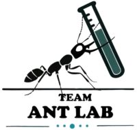 teamantlab.de